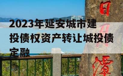 2023年延安城市建投债权资产转让城投债定融