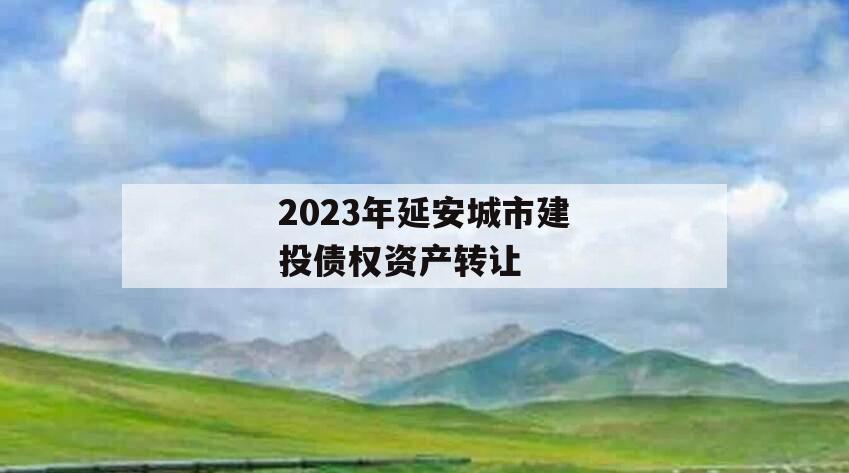 2023年延安城市建投债权资产转让