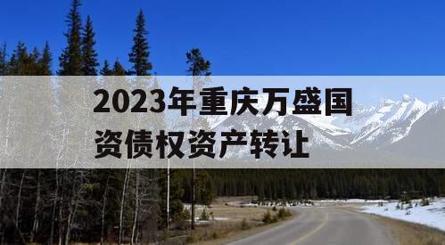 2023年重庆万盛国资债权资产转让