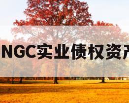 JNGC实业债权资产