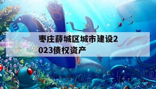 枣庄薛城区城市建设2023债权资产