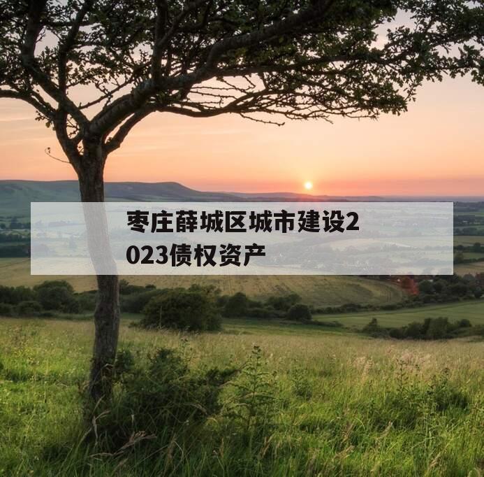 枣庄薛城区城市建设2023债权资产