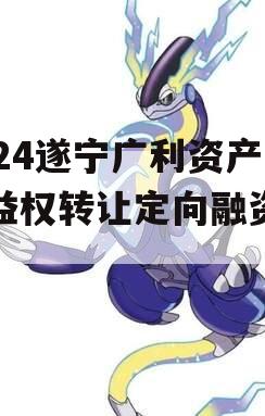 2024遂宁广利资产收益权转让定向融资计划