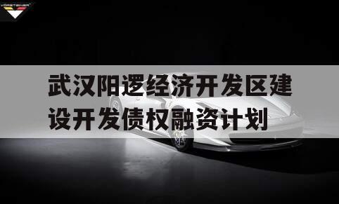 武汉阳逻经济开发区建设开发债权融资计划