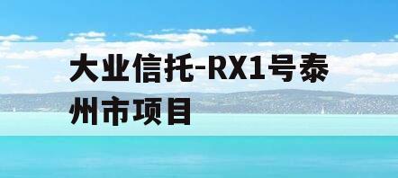 大业信托-RX1号泰州市项目