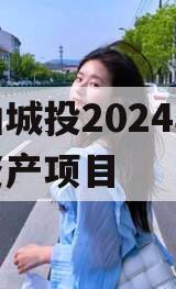 江油城投2024年债权资产项目
