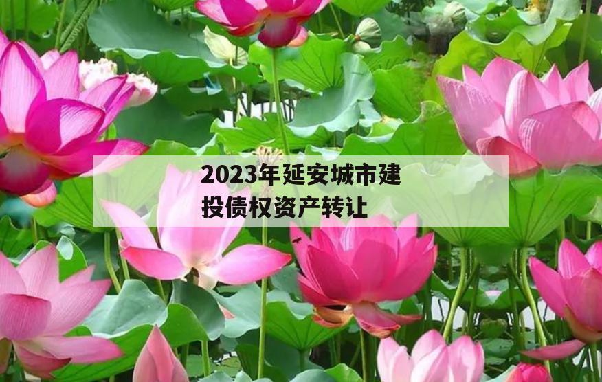 2023年延安城市建投债权资产转让