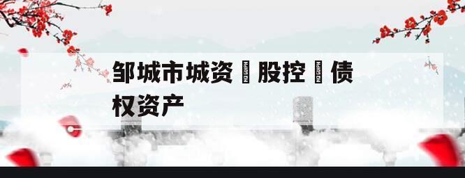 邹城市城资‮股控‬债权资产