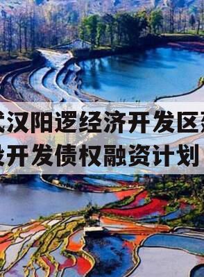 武汉阳逻经济开发区建设开发债权融资计划