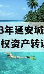 2023年延安城市建投债权资产转让