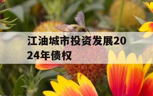 江油城市投资发展2024年债权