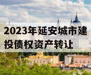 2023年延安城市建投债权资产转让