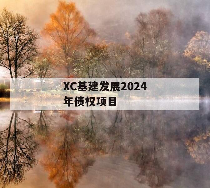 XC基建发展2024年债权项目