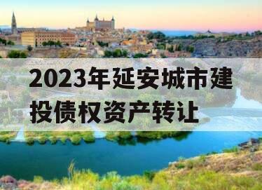 2023年延安城市建投债权资产转让