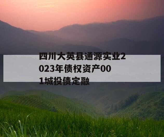 四川大英县通源实业2023年债权资产001城投债定融