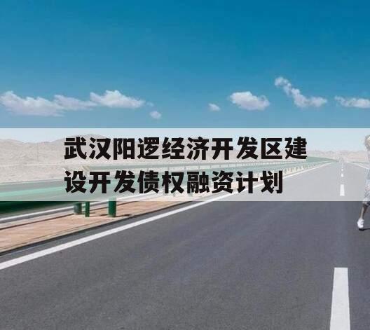 武汉阳逻经济开发区建设开发债权融资计划