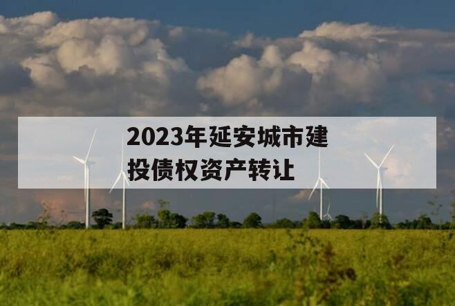 2023年延安城市建投债权资产转让