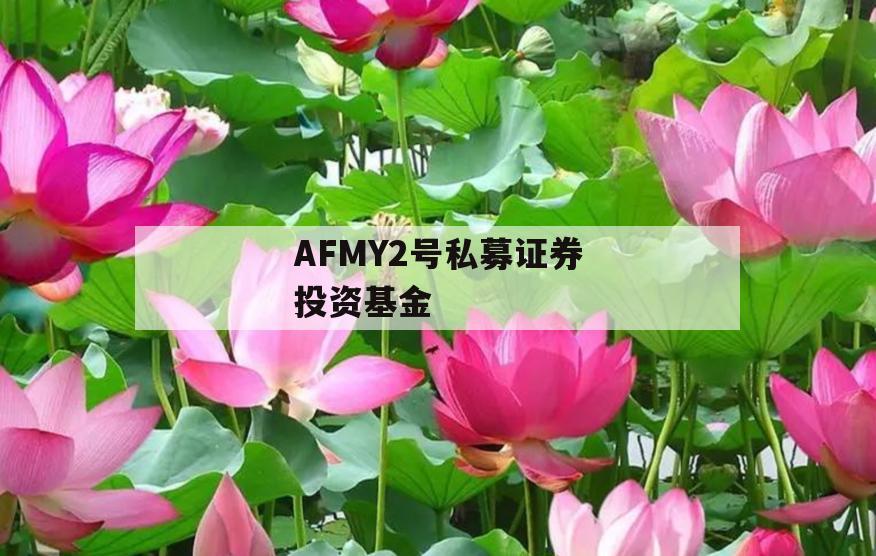 AFMY2号私募证券投资基金