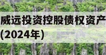 威远投资控股债权资产(2024年)