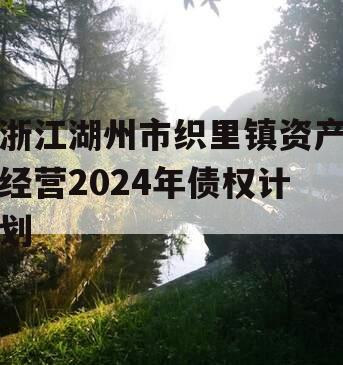 浙江湖州市织里镇资产经营2024年债权计划