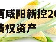 陕西咸阳新控2024年债权资产