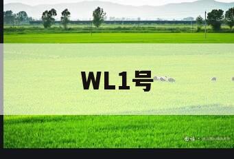 WL1号