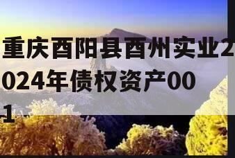 重庆酉阳县酉州实业2024年债权资产001