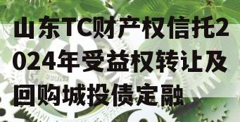 山东TC财产权信托2024年受益权转让及回购城投债定融
