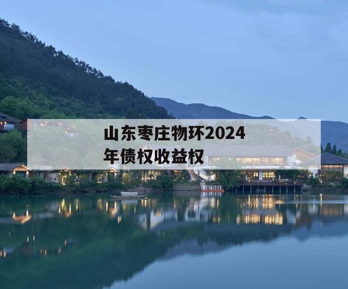 山东枣庄物环2024年债权收益权