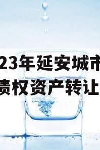 2023年延安城市建投债权资产转让