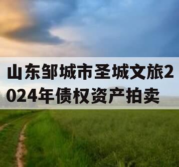 山东邹城市圣城文旅2024年债权资产拍卖