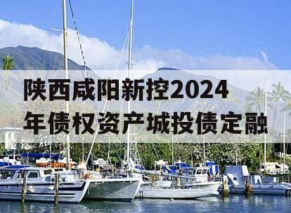 陕西咸阳新控2024年债权资产城投债定融