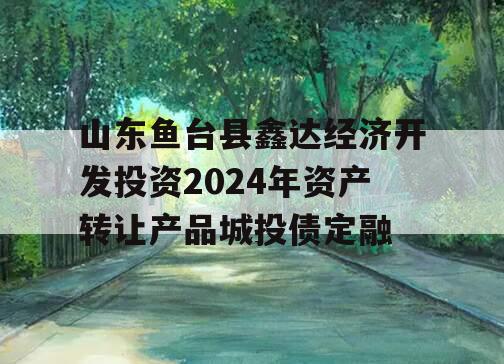 山东鱼台县鑫达经济开发投资2024年资产转让产品城投债定融