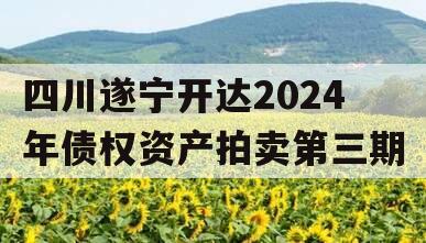 四川遂宁开达2024年债权资产拍卖第三期
