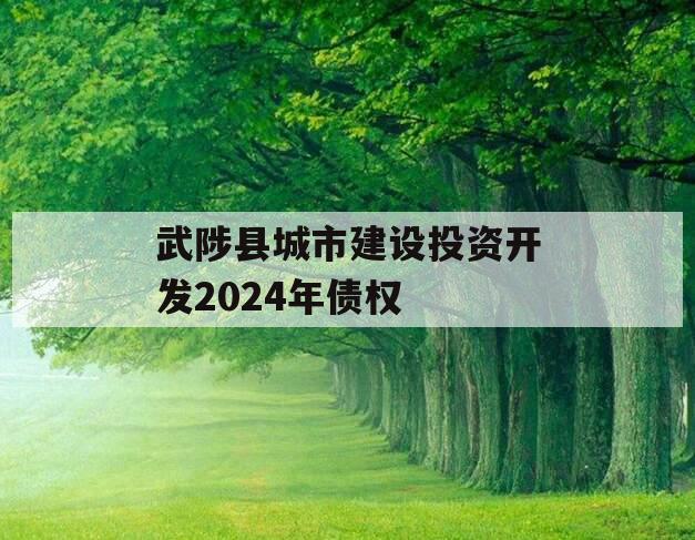 武陟县城市建设投资开发2024年债权