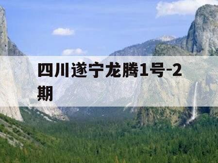 四川遂宁龙腾1号-2期