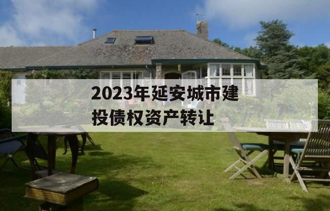 2023年延安城市建投债权资产转让