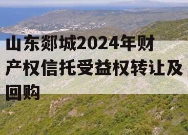 山东郯城2024年财产权信托受益权转让及回购