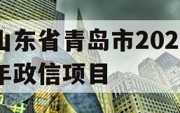 山东省青岛市2024年政信项目