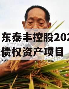 山东泰丰控股2024年债权资产项目
