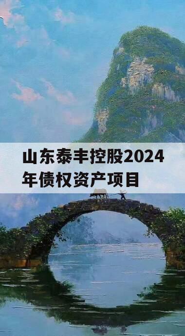 山东泰丰控股2024年债权资产项目