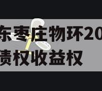 山东枣庄物环2024年债权收益权