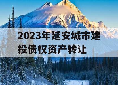 2023年延安城市建投债权资产转让