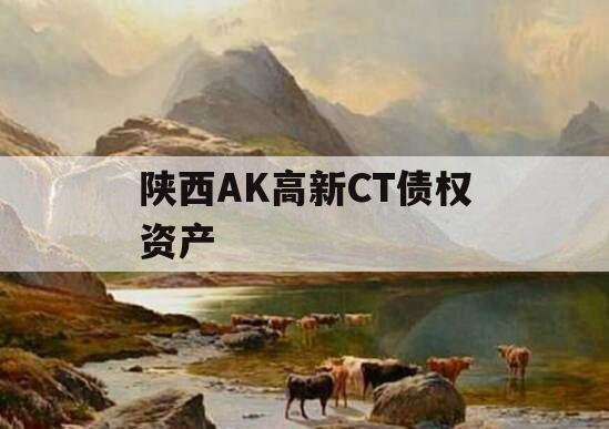 陕西AK高新CT债权资产