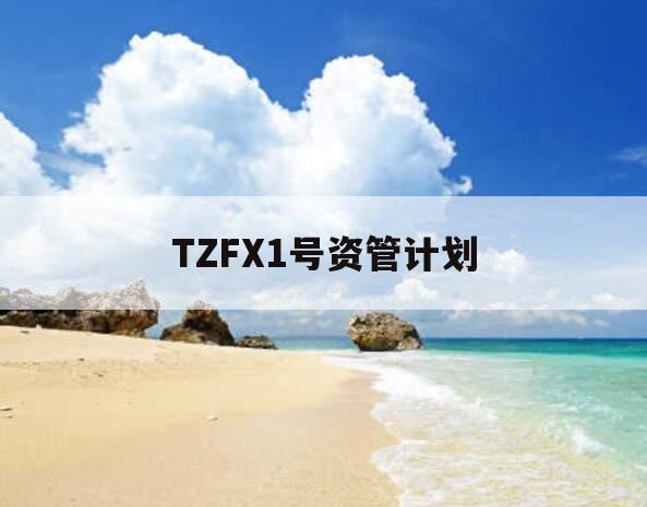 TZFX1号资管计划