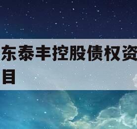 山东泰丰控股债权资产项目