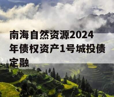 南海自然资源2024年债权资产1号城投债定融