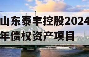 山东泰丰控股2024年债权资产项目