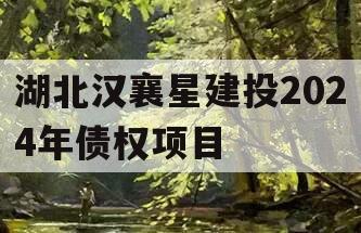 湖北汉襄星建投2024年债权项目