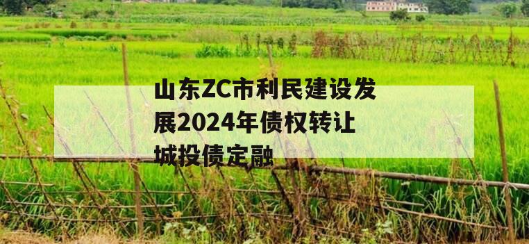 山东ZC市利民建设发展2024年债权转让城投债定融